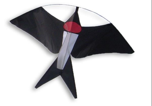 Grote foto didakites vogelvlieger zwaluw sport en fitness overige sport en fitness