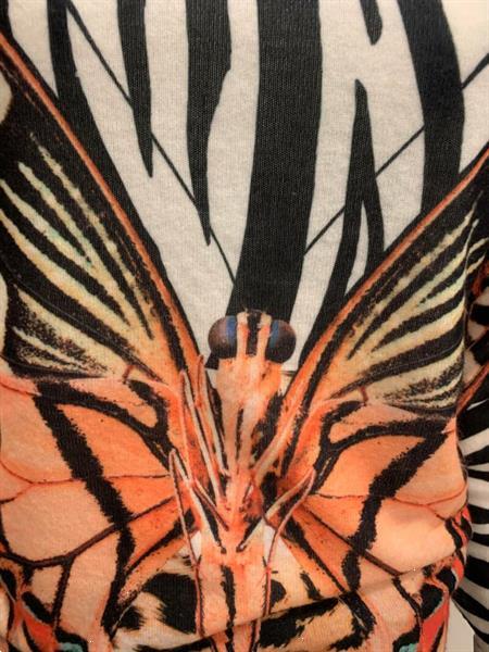 Grote foto top met vlinder draagbaar tot maat 44. kleding dames overige kledingstukken