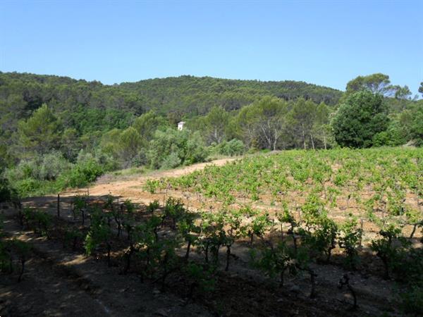 Grote foto provence vakantiehuis met groot zwembad vakantie frankrijk