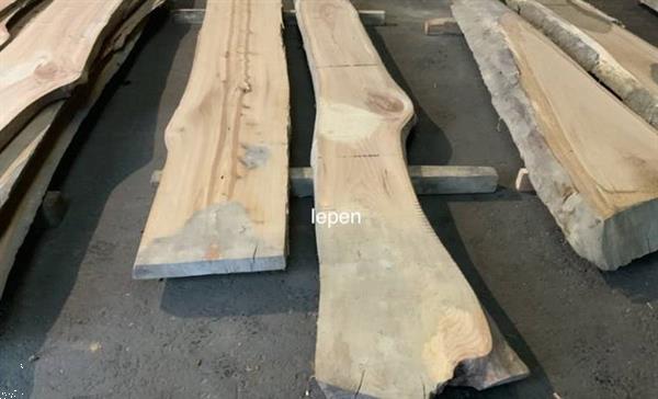 Grote foto boomstam delen wooddesign4u doe het zelf en verbouw hout en planken