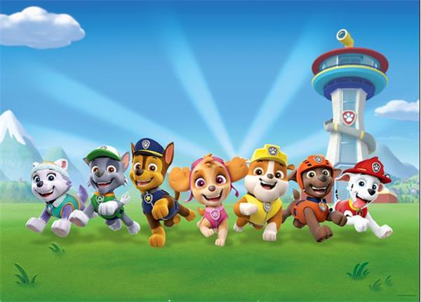 Grote foto paw patrol fotobehang l kinderen en baby inrichting en decoratie