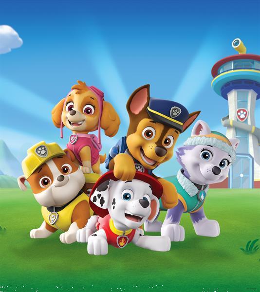 Grote foto paw patrol fotobehang l kinderen en baby inrichting en decoratie