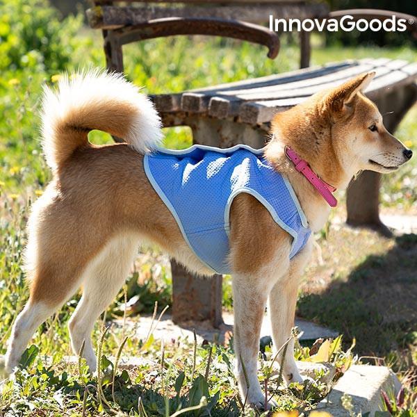 Grote foto innovagoods verkoelend vest voor kleine honden s dieren en toebehoren overige