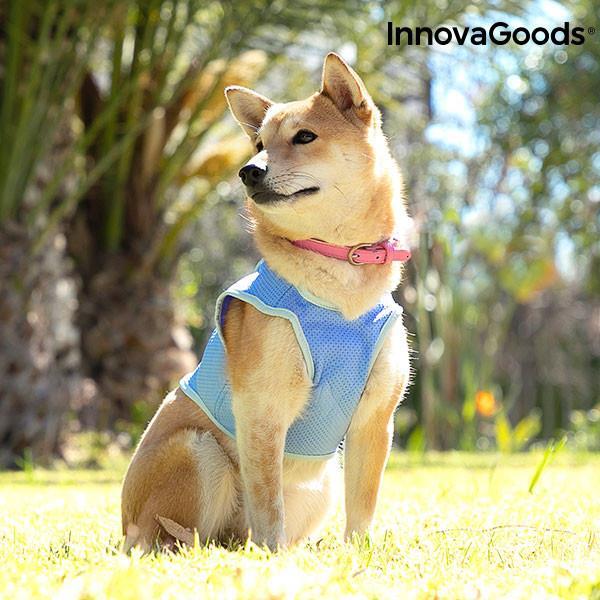 Grote foto innovagoods verkoelend vest voor kleine honden s dieren en toebehoren overige