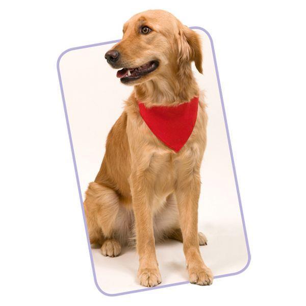 Grote foto hondenhalsband met sjaal 143062 dieren en toebehoren overige