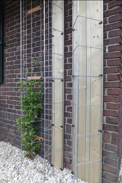 Grote foto klimplanten tegen de schutting tuinscherm muur tuin en terras hekken en schuttingen