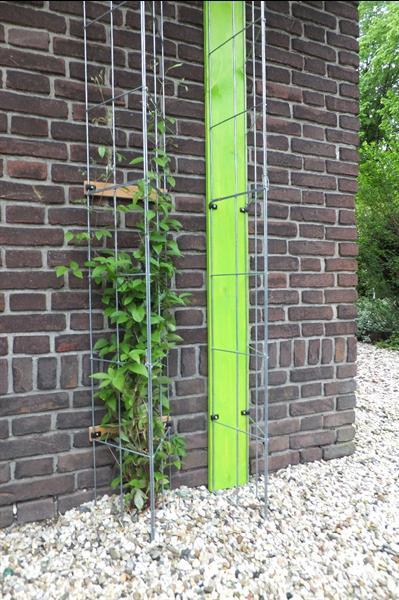 Grote foto klimplanten tegen de schutting tuinscherm muur tuin en terras hekken en schuttingen