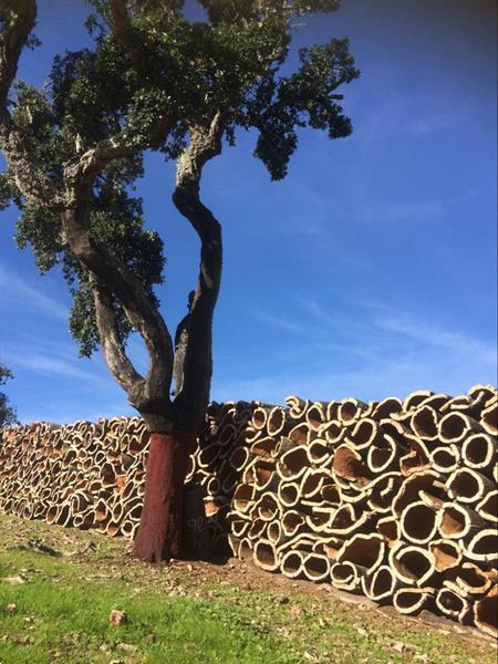 Grote foto wandel of fietsvakantie in zuid portugal vakantie europa zuid