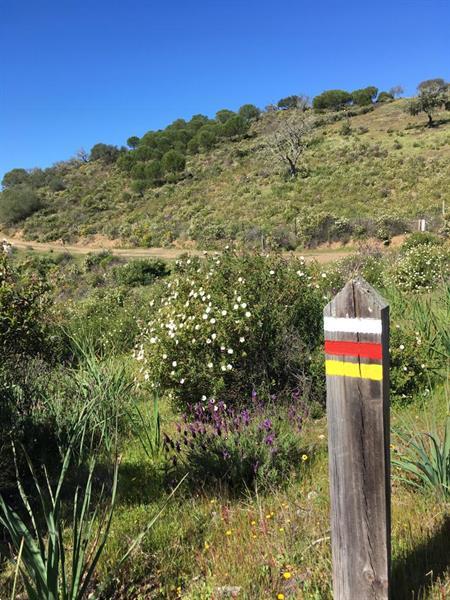 Grote foto wandel of fietsvakantie in zuid portugal vakantie europa zuid