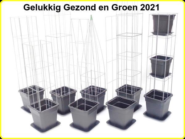 Grote foto klimplantenrekken klimplantrek klimplantenrek tuin en terras bloemen en planten