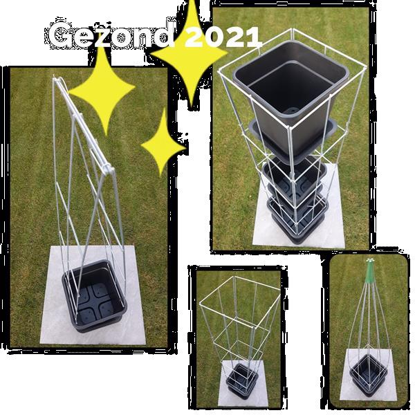 Grote foto klimplantenrekken klimplantrek klimplantenrek tuin en terras bloemen en planten