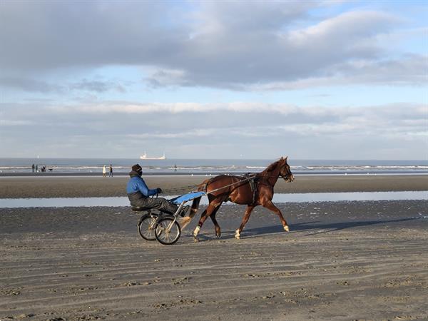 Grote foto belgische kust nieuwpoort aan zee vakantie belgi