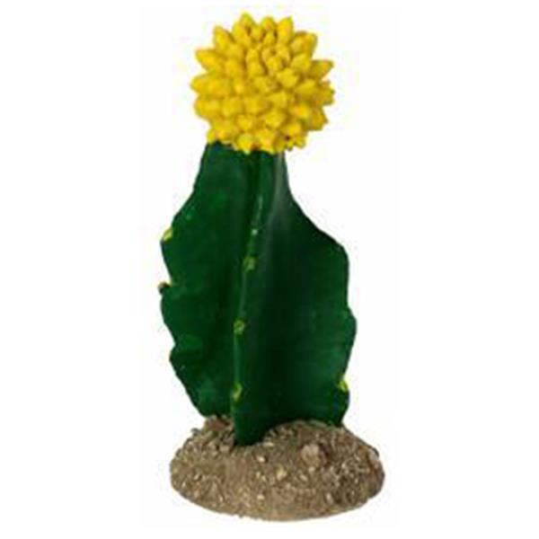 Grote foto golden gilia cactus 7x7x15 5cm dieren en toebehoren reptielenverblijven