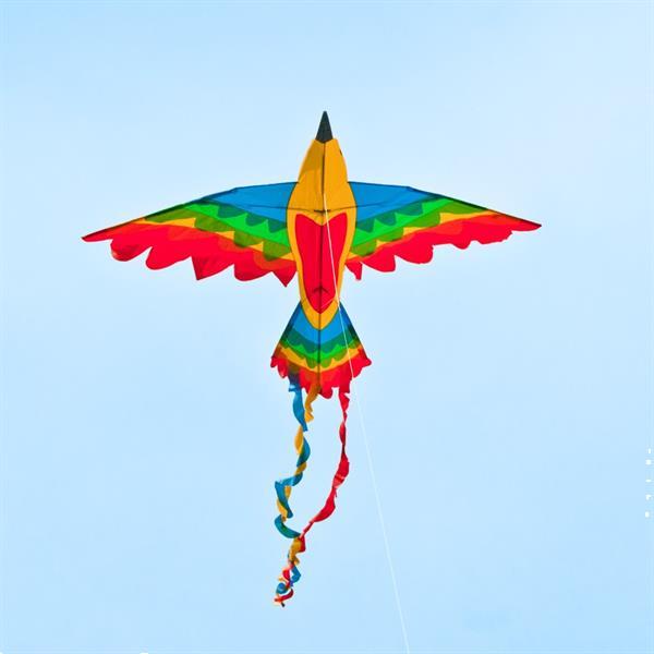 Grote foto cim rainbow vogelvlieger sport en fitness overige sport en fitness