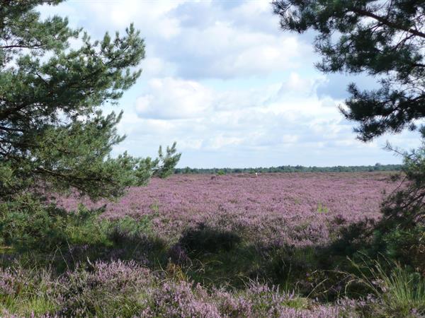 Grote foto camping veluwe fietsen wandelen arrangementen caravans en kamperen campings