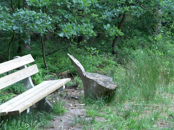 Grote foto camping veluwe fietsen wandelen arrangementen caravans en kamperen campings