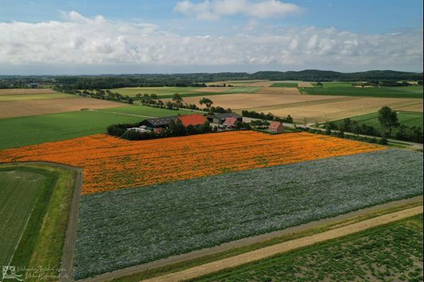 Grote foto vz901 vakantiehuis in zoutelande vakantie nederland zuid