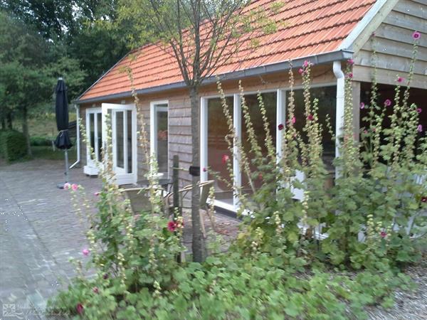 Grote foto vz909 cottage in hulst vakantie nederland zuid