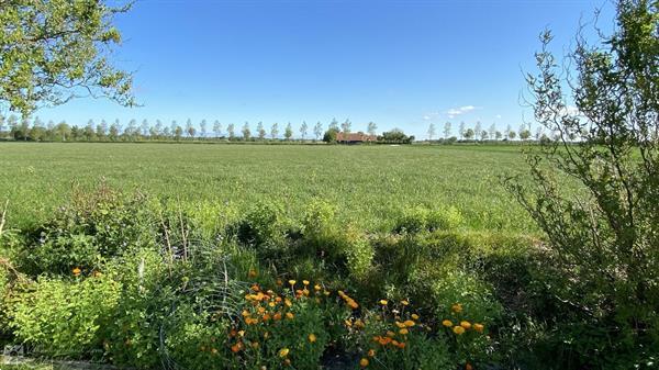 Grote foto vz583 studio vrouwenpolder vakantie nederland zuid