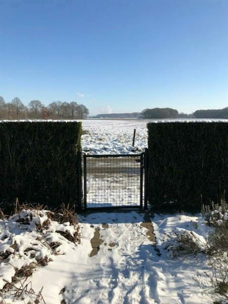 Grote foto vz892 vakantiehuis in hulst vakantie nederland zuid