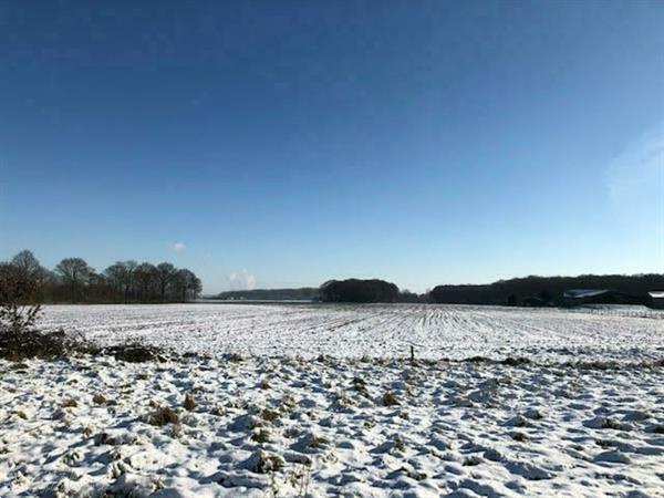 Grote foto vz892 vakantiehuis in hulst vakantie nederland zuid