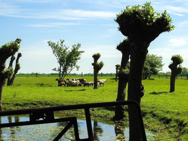 Grote foto vz415 familiehuis aagtekerke vakantie nederland zuid