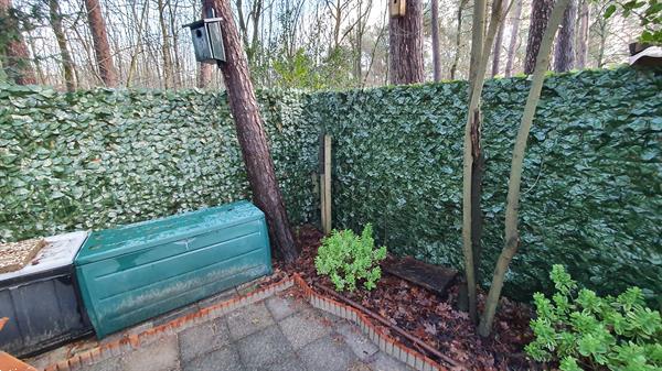 Grote foto kunsthaag laurier venice op rol 1 3 meter tuin en terras tuindecoratie