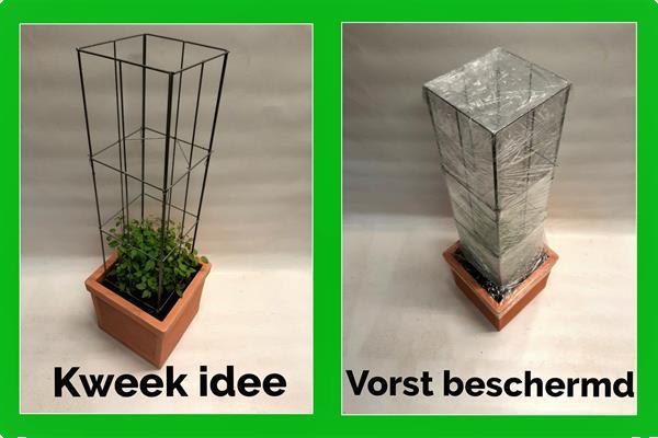 Grote foto plantrekken voor clematis hedera jasmijn tuin en terras hekken en schuttingen