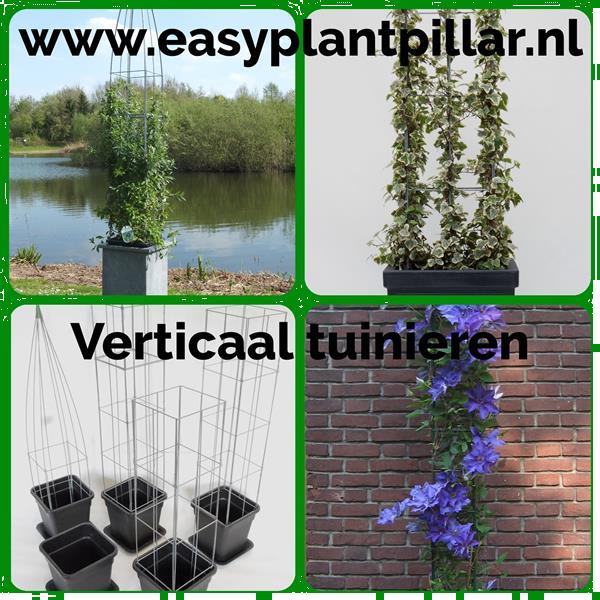 Grote foto plantrekken voor clematis hedera jasmijn tuin en terras hekken en schuttingen