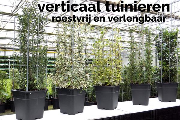 Grote foto plantrekken voor clematis hedera jasmijn tuin en terras hekken en schuttingen
