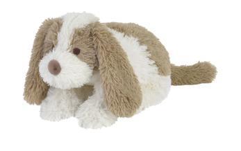 Grote foto dog david 20cm kinderen en baby knuffels en pluche