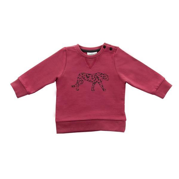 Grote foto truitje 50 56 leopard maroon red kinderen en baby overige