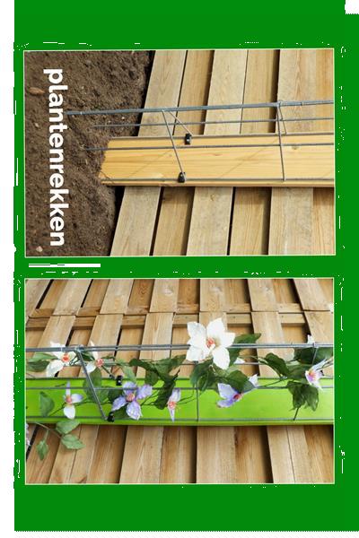 Grote foto clematis tegen de schutting en langs palen tuin en terras klimplanten