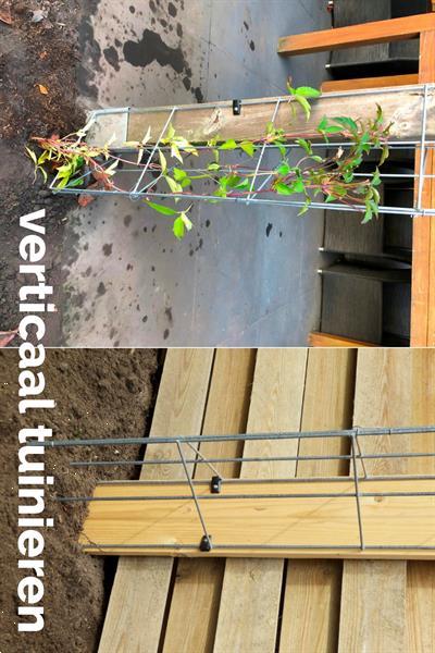 Grote foto clematis tegen de schutting en langs palen tuin en terras klimplanten