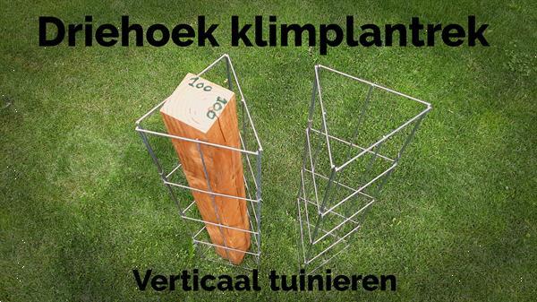 Grote foto clematis tegen de schutting en langs palen tuin en terras klimplanten