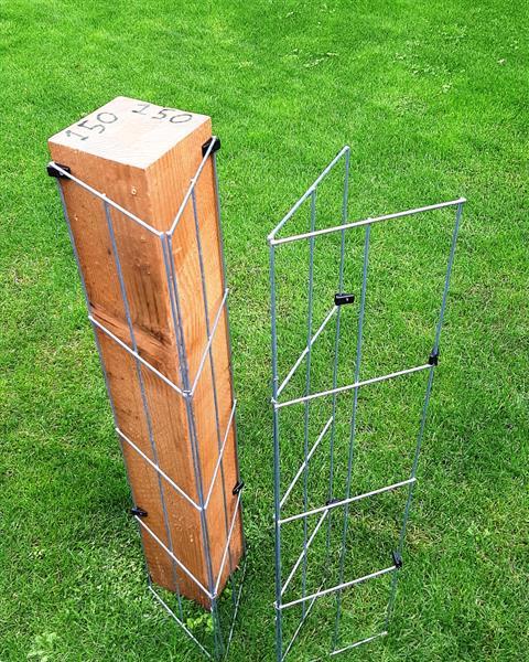 Grote foto clematis tegen de schutting en langs palen tuin en terras klimplanten