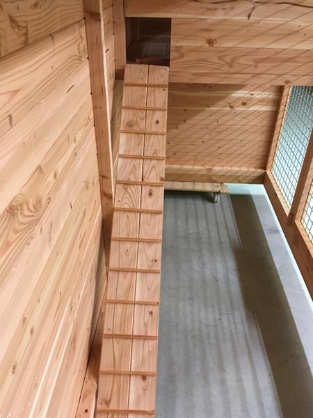 Grote foto kippenhok douglas dieren en toebehoren hokken en kooien