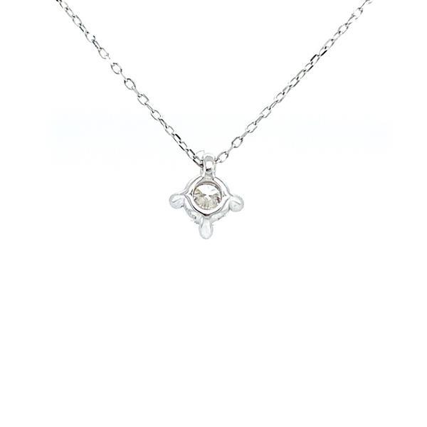 Grote foto collier 14 karaat witgoud met 0.25 ct. diamant sieraden tassen en uiterlijk bedels en hangers