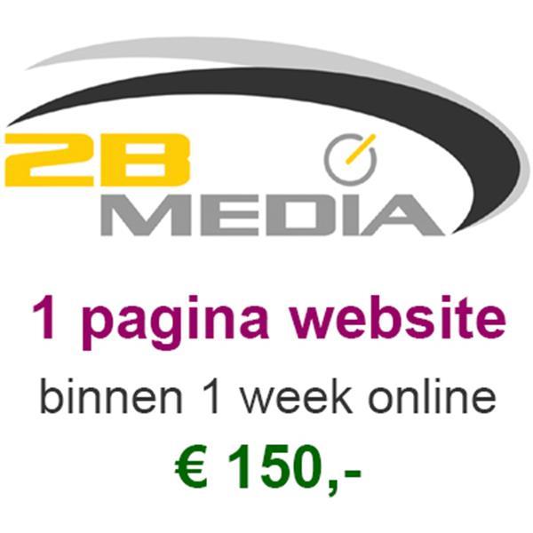 Grote foto 1 pagina website voor 150 diensten en vakmensen webdesigners en domeinnamen