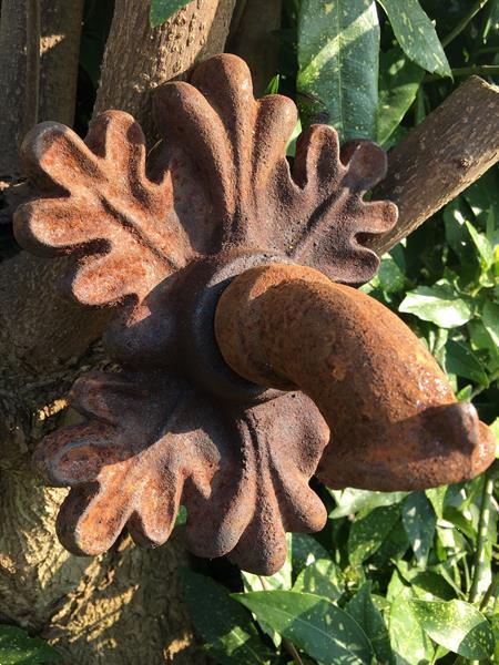 Grote foto waterspuwer als wandfontein eikenblad tuin en terras fonteinen en waterpartijen