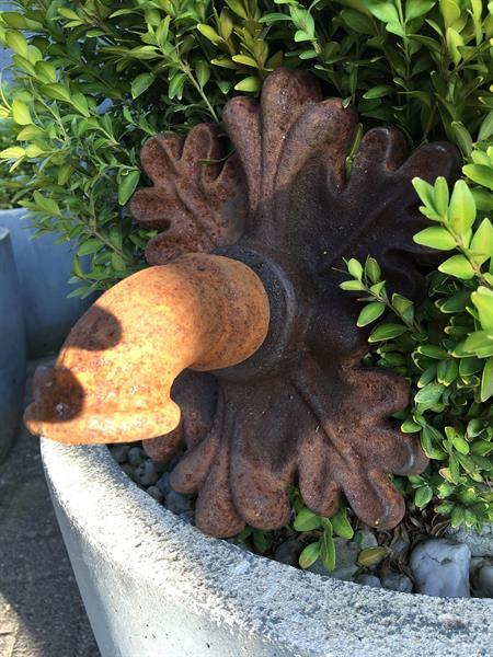 Grote foto waterspuwer als wandfontein eikenblad tuin en terras fonteinen en waterpartijen