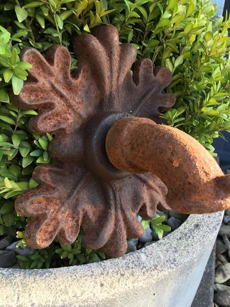 Grote foto waterspuwer als wandfontein eikenblad tuin en terras fonteinen en waterpartijen