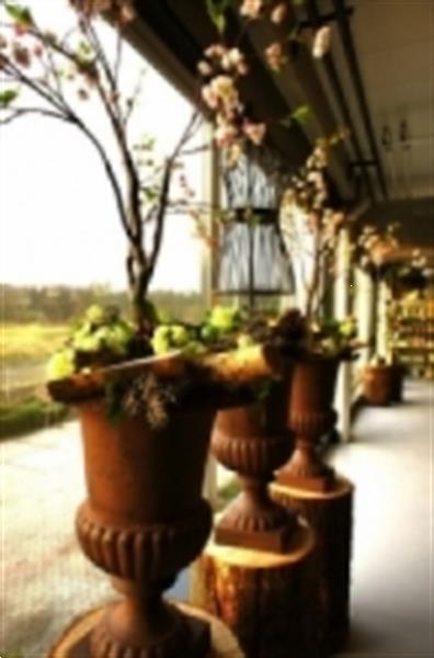 Grote foto gietijzeren plantenbak voor buiten sierlijk tuin en terras bloempotten