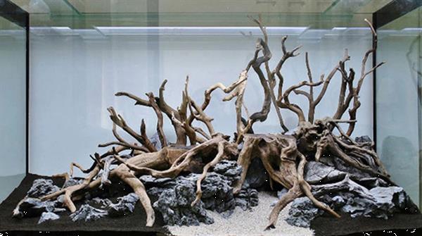 Grote foto spider wood 35 50cm aquarium decoratie hout dieren en toebehoren vissenkommen