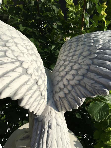 Grote foto adelaar beeld tuinbeeld groot imposant tuin en terras tuinbeelden en tuinkabouters