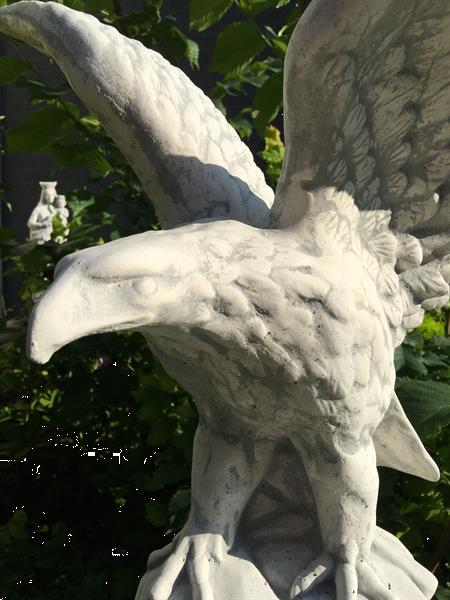 Grote foto adelaar beeld tuinbeeld groot imposant tuin en terras tuinbeelden en tuinkabouters
