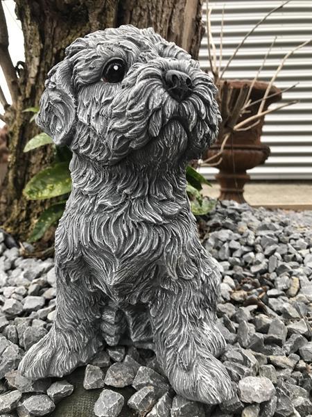 Grote foto beeld van een shihtzu gaaf honden figuur tuin en terras tuinbeelden en tuinkabouters