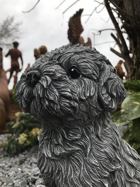 Grote foto beeld van een shihtzu gaaf honden figuur tuin en terras tuinbeelden en tuinkabouters
