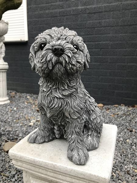 Grote foto beeld van een shihtzu gaaf honden figuur tuin en terras tuinbeelden en tuinkabouters