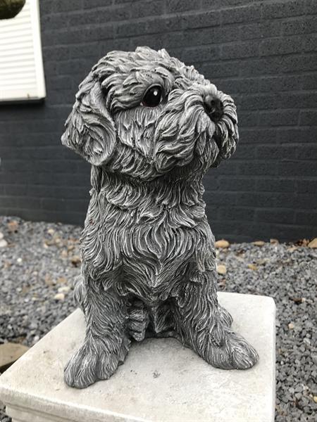 Grote foto beeld van een shihtzu gaaf honden figuur tuin en terras tuinbeelden en tuinkabouters